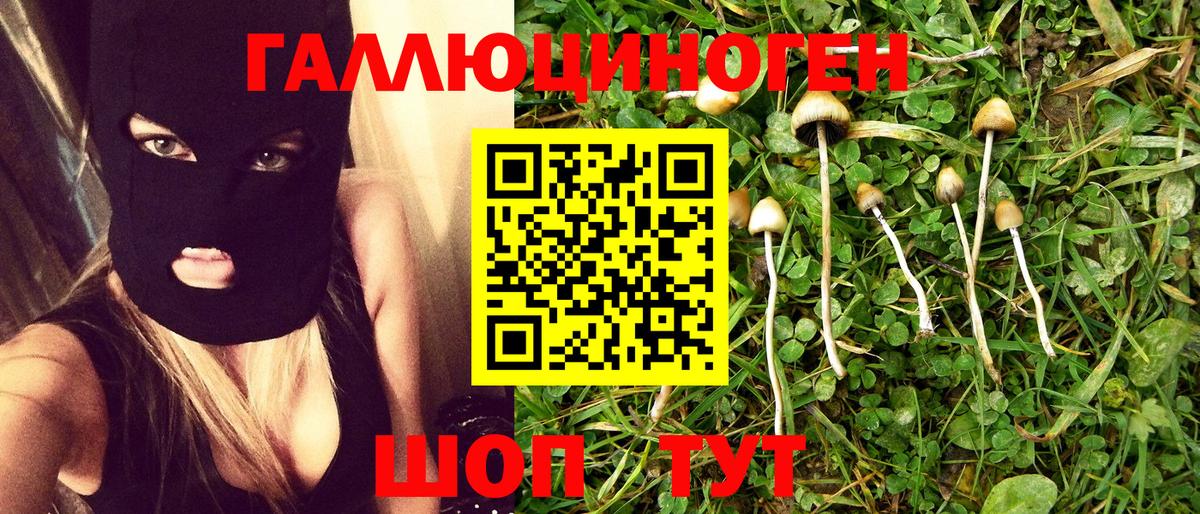 Галлюциногенные грибы мицелий  Псилоцибиновые грибы мицелий  Рассказово  Вход с VPN 